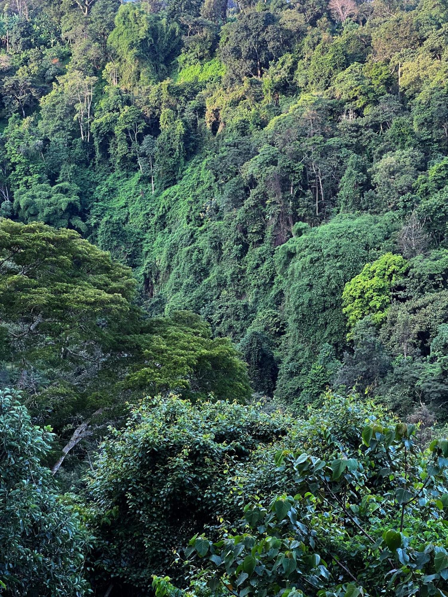 Kaliwa Lodge Моши Экстерьер фото